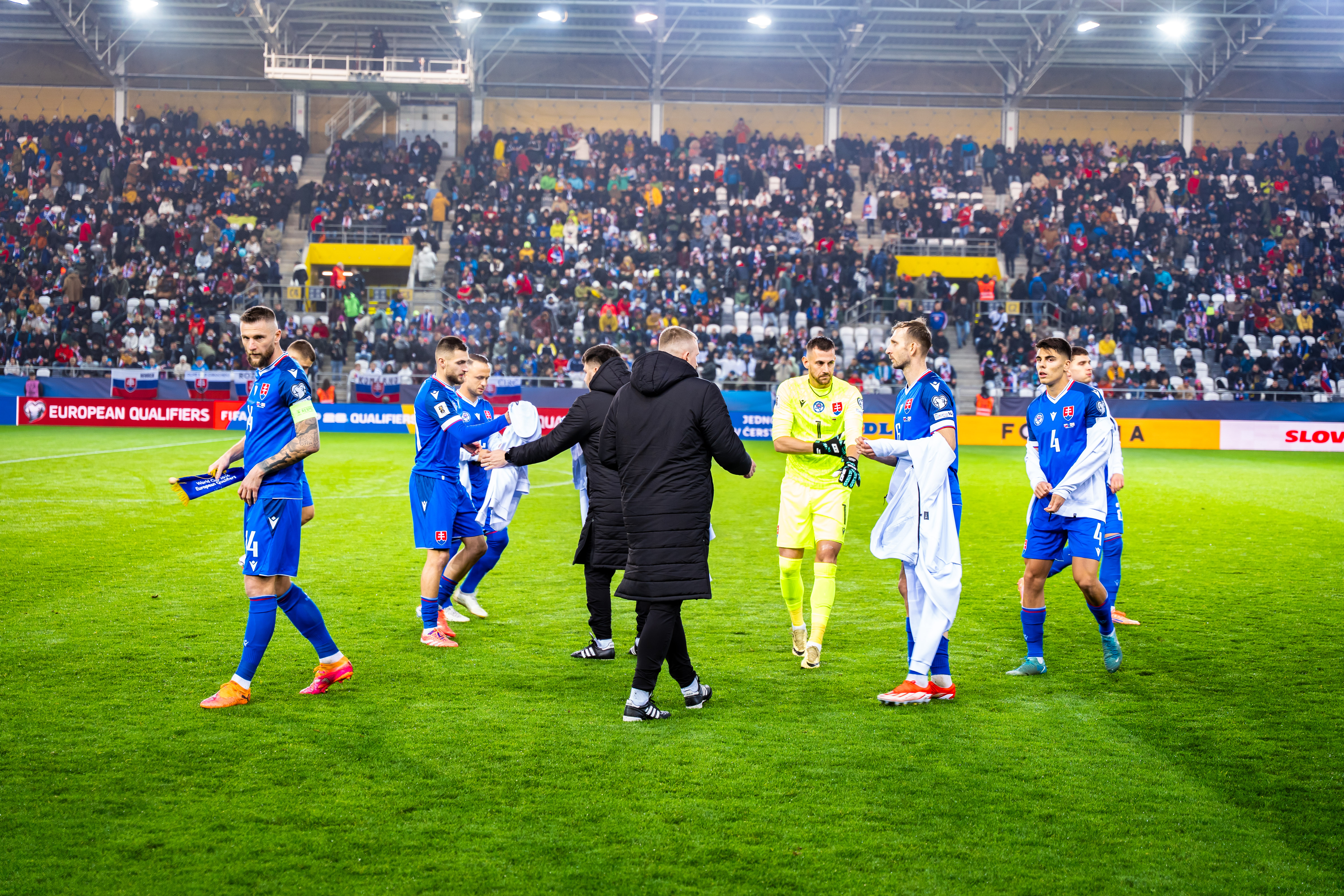 Slovensko vs Severne Irsko-14